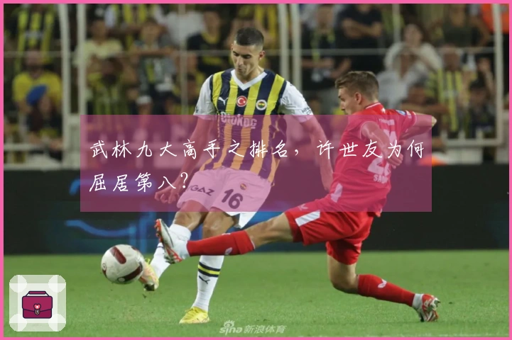 武林九大高手之排名，许世友为何屈居第八？